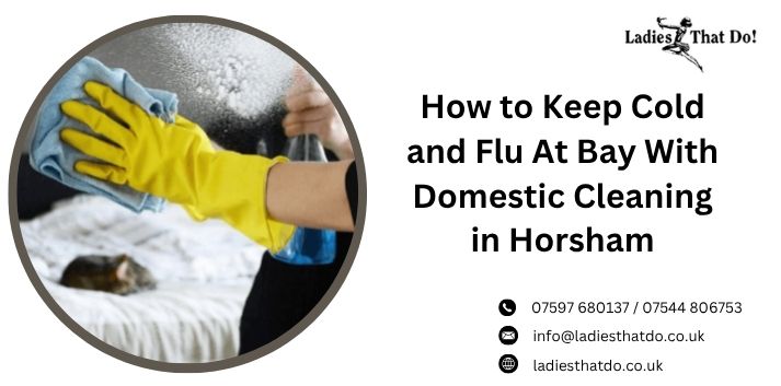 How to Keep Cold and Flu At Bay With Domestic Cleaning in Horsham