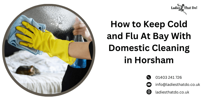 How to Keep Cold and Flu At Bay With Domestic Cleaning in Horsham