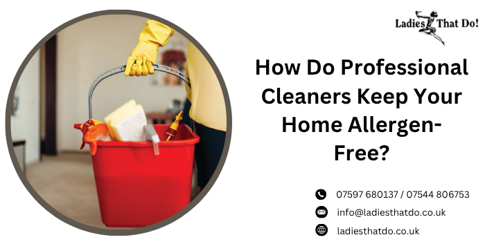 How Do Professional Cleaners Keep Your Home Allergen-Free?